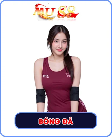 Hình Bóng Đá